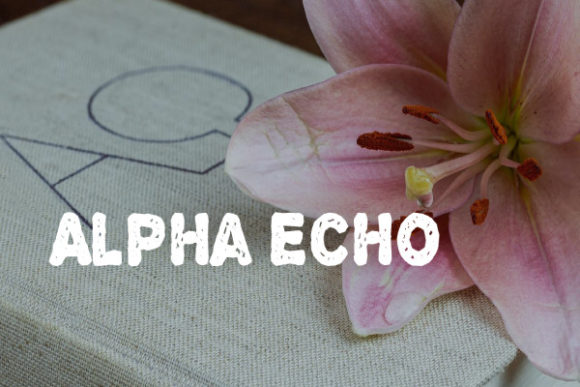 Alpha Echo Display Font for Creative Product Branding