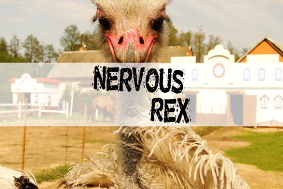 Nervous Rex: The Shredded Display Font for High-Impact Campaigns
